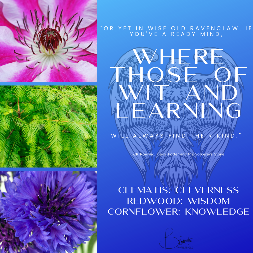 This graphic showcases the three plants chosen for Ravenclaw: clematis, redwood, and cornflower. Each flower has a meaning tied to the traits of a Ravenclaw.
Flowers for each Hogwarts house